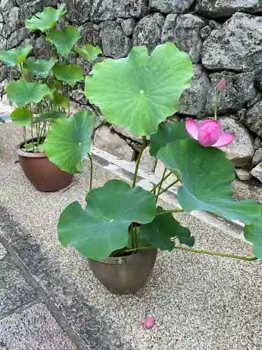 長谷寺(奈良県)