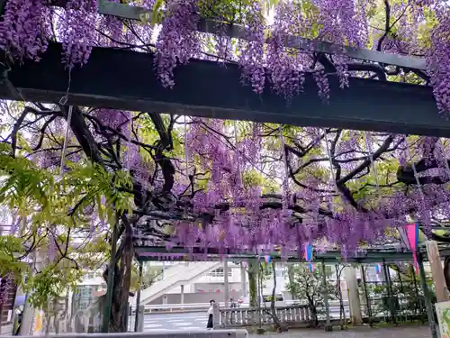 國領神社(東京都)