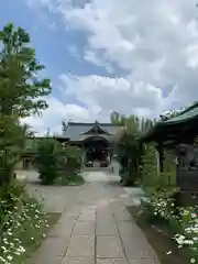 鷺宮八幡神社の建物その他