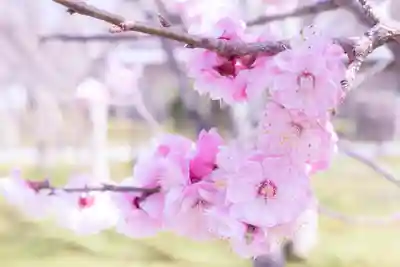 禅林寺(永観堂)(京都府)