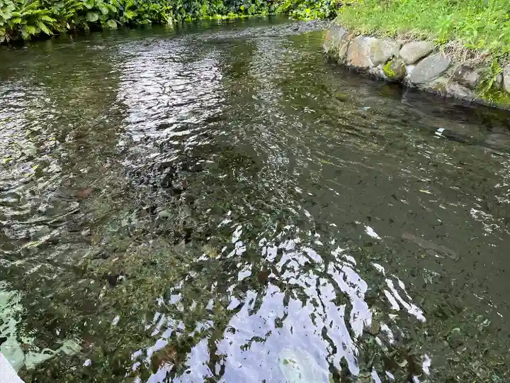 白川吉見神社(熊本県)