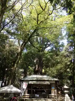 武速神社の本殿・本堂