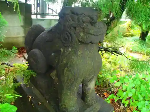 越谷香取神社の狛犬