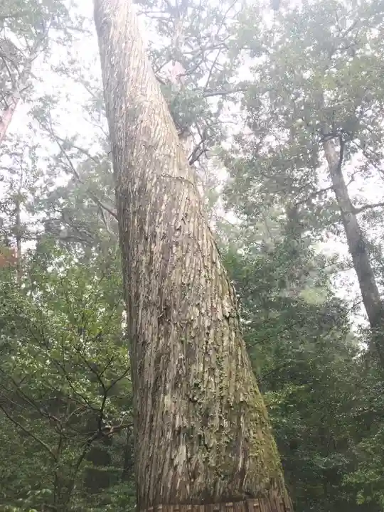 瀧原宮(皇大神宮別宮)の自然