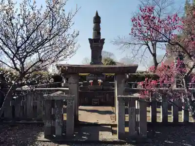 善導寺(群馬県)