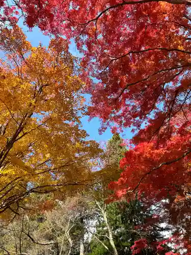 土津神社｜こどもと出世の神さま(福島県)
