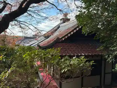 霊鑑寺門跡(京都府)