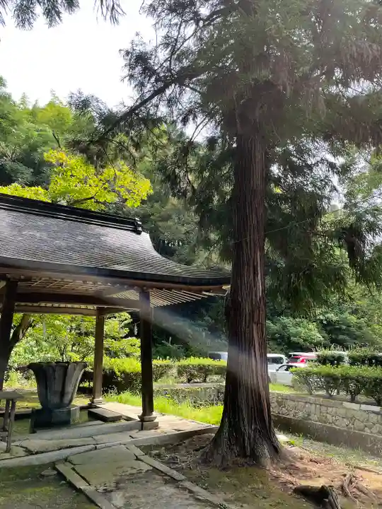 豊栄神社の手水舎