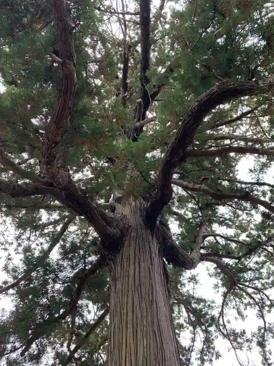 安興寺(千葉県)