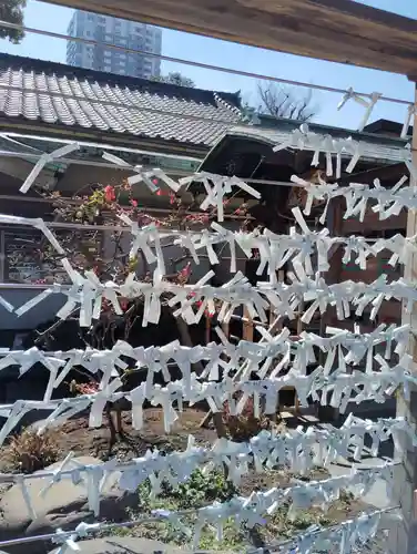 品川神社のおみくじ