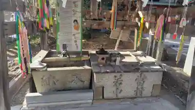 稗田野神社(薭田野神社)(京都府)