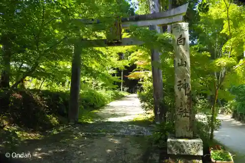 白山神社(滋賀県)