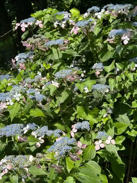 長野縣護國神社(長野県)