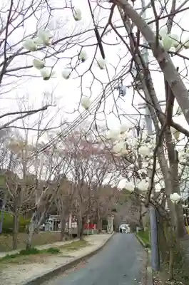 星田妙見宮(大阪府)