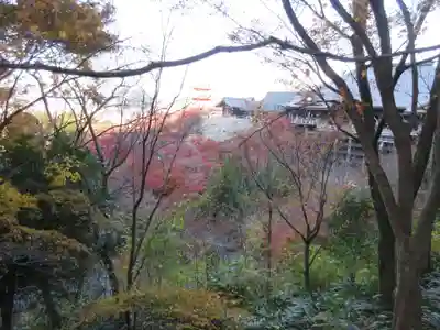 清水寺(京都府)