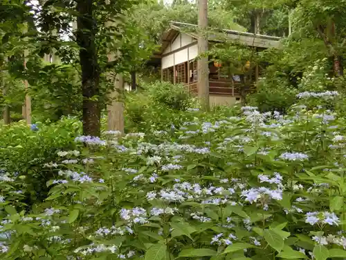 三千院門跡の自然
