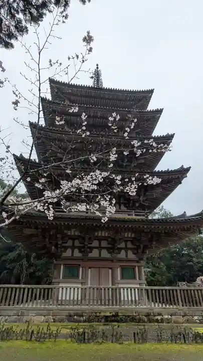 醍醐寺(京都府)