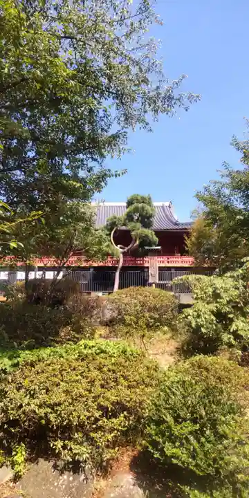 清水観音堂(東京都)