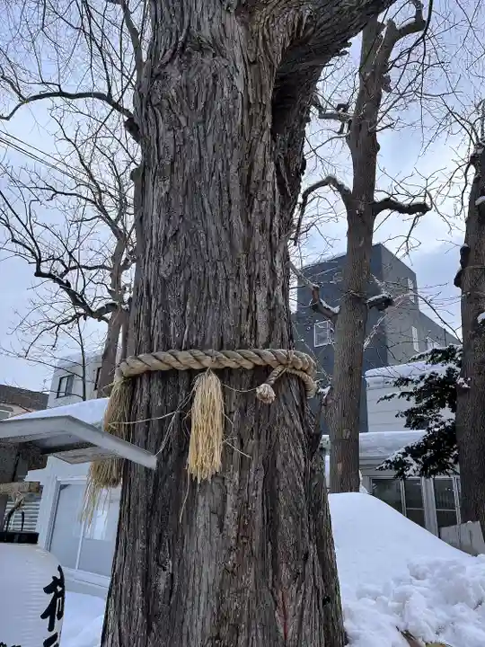 札幌諏訪神社の自然
