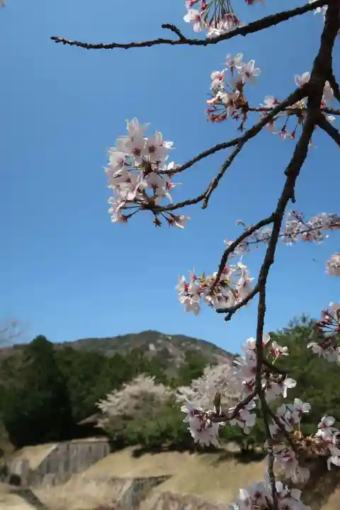 尾高山 観音堂の自然