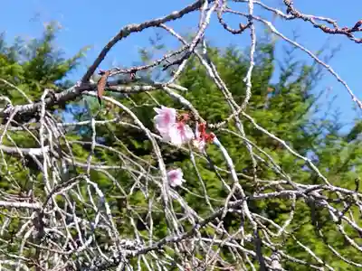 実光院(京都府)