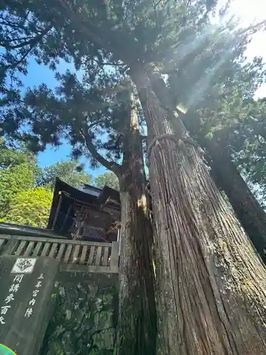三峯神社(埼玉県)