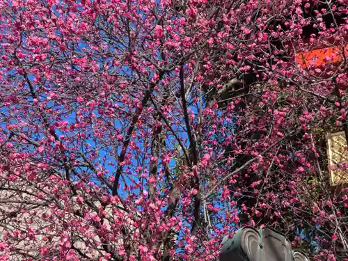馬橋稲荷神社(東京都)
