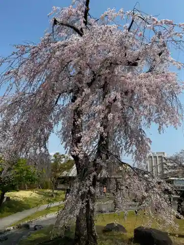 富士山本宮浅間大社の{uncategorized: "未分類", other: "その他", undefined: "問題あり", building: "その他建物", grave: "お墓", sacred_gate: "鳥居", guardian: "狛犬", statue: "像", buddha: "仏像", history: "歴史", nature: "自然", garden: "庭園", animal: "動物", pagoda: "塔", temizu: "手水舎", mountain_gate: "山門・神門", sanctuary: "本殿・本堂", subordinate: "末社・摂社", art: "芸術", scenery: "景色", jizo: "地蔵", ema: "絵馬", goshuin: "御朱印", omikuji: "おみくじ", items: "授与品その他", amulet: "お守り", goshuincho: "御朱印帳", eats: "食事", festival: "お祭り", votive_dance: "神楽", shichigosan: "七五三参", wedding: "結婚式", experience: "体験その他", initially: "初詣", around: "周辺", anti_infection: "感染症対策"}