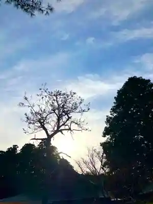 鹿島神宮の{uncategorized: "未分類", other: "その他", undefined: "問題あり", building: "その他建物", grave: "お墓", sacred_gate: "鳥居", guardian: "狛犬", statue: "像", buddha: "仏像", history: "歴史", nature: "自然", garden: "庭園", animal: "動物", pagoda: "塔", temizu: "手水舎", mountain_gate: "山門・神門", sanctuary: "本殿・本堂", subordinate: "末社・摂社", art: "芸術", scenery: "景色", jizo: "地蔵", ema: "絵馬", goshuin: "御朱印", omikuji: "おみくじ", items: "授与品その他", amulet: "お守り", goshuincho: "御朱印帳", eats: "食事", festival: "お祭り", votive_dance: "神楽", shichigosan: "七五三参", wedding: "結婚式", experience: "体験その他", initially: "初詣", around: "周辺", anti_infection: "感染症対策"}