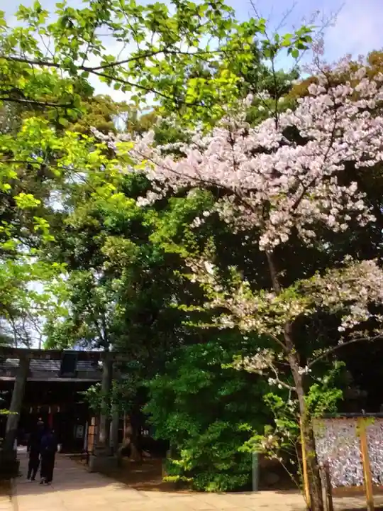 赤坂氷川神社(東京都)