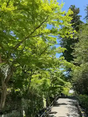 円覚寺(神奈川県)