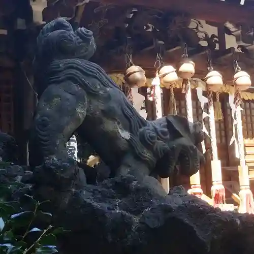 平塚神社の狛犬