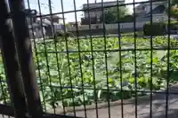 大日堂(近江妙蓮公園)(滋賀県)