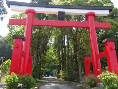東霧島神社の鳥居