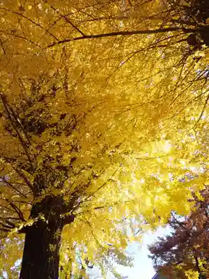 根岸八幡神社(神奈川県)