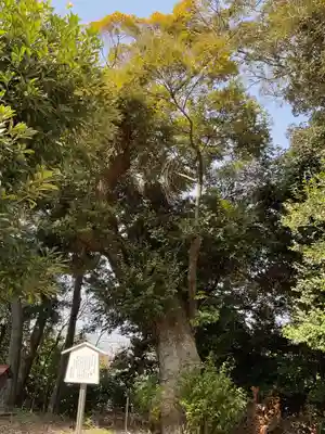 鹽江神社(中野)(愛知県)