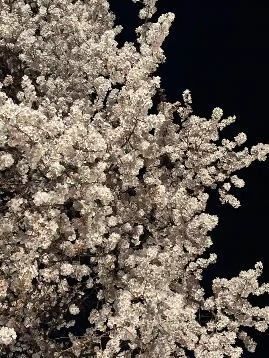 妙道寺(栃木県)