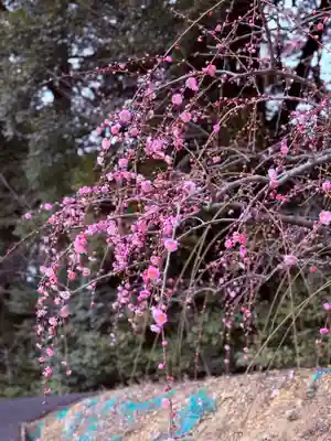 大縣神社(愛知県)
