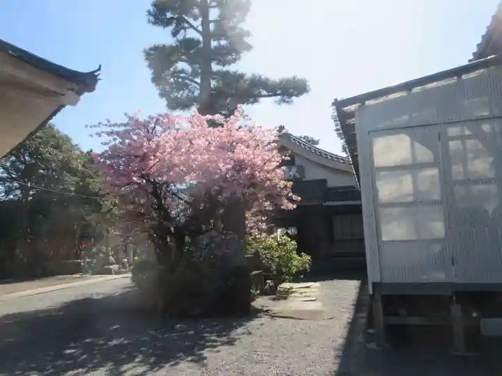松蔭寺(静岡県)