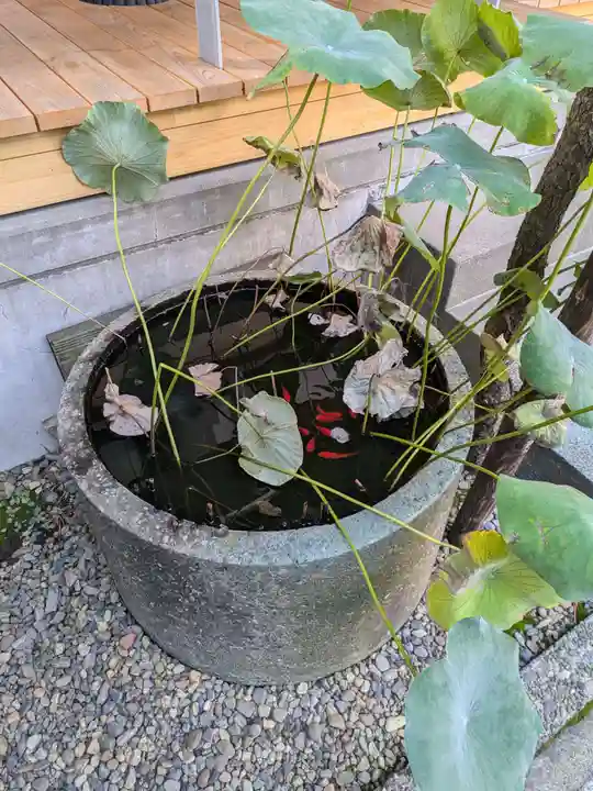 龍興院(東京都)