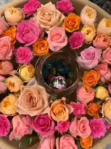 彌都加伎神社の手水舎(2021年08月31日(火) 19時17分37秒投稿)