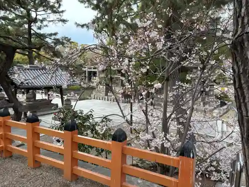 住吉大社の自然