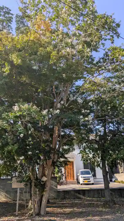 月讀神社(京都府)
