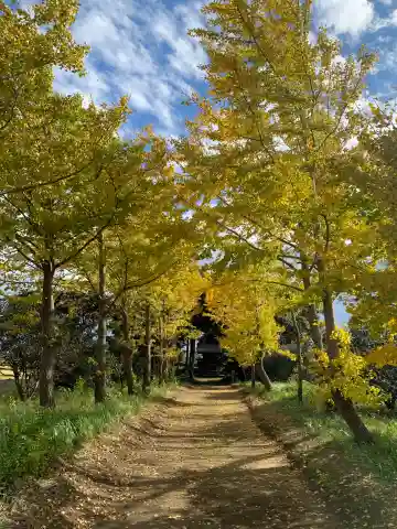 稲荷神社(千葉県)