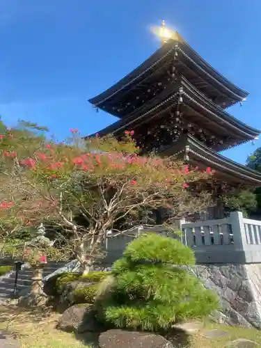 村松虚空蔵堂（日高寺）(茨城県)
