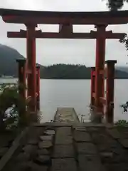 箱根神社の鳥居