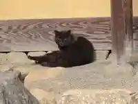 宗林寺(大阪府)