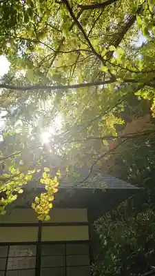 安楽寺のその他建物