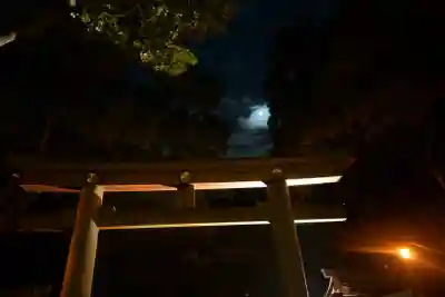 明治神宮の鳥居