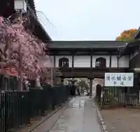 清水観音堂のその他建物